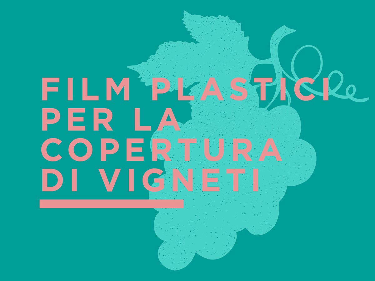 Film plastici per la copertura dei vigneti